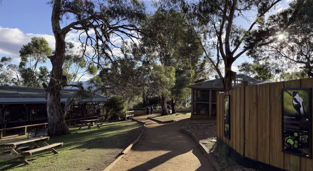 Bonorong in afternoon light. We see various exhibitions with rescued animals, picnic tables, and native trees.